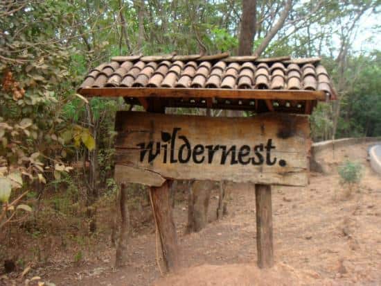 Wildernest Nature Resort (An Eco Hotel), Goa 1